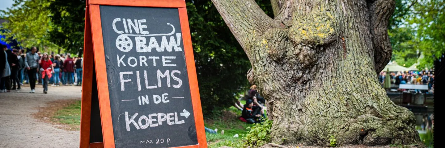 Film  - BAM! Festival, Hengelo (Ov.)